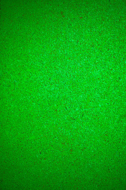 istock Green recycled wooden plate background. 537641857