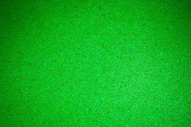 istock Green recycled wooden plate background. 537641871