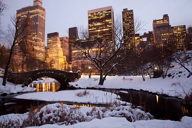 istock Central park in New York City 537641879