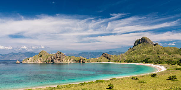 Pink beach in Pulau Padar island in Komodo Flores Natural and unspoiled pink beach on Padar island at the Komodo National Park of Indonesia. pulau komodo stock pictures, royalty-free photos & images