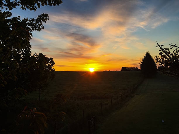 istock Scenic view of sunrise over field. Trees in silhouette. 537642848