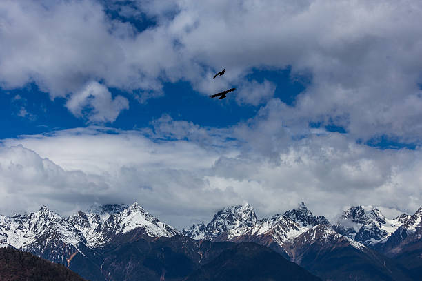 istock Tibet landscape, Tibet, China. 537643730