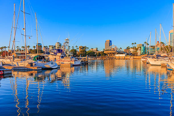istock Skyscrapers of Long Beach skyline,harbor,boats,spring,CA 537643748