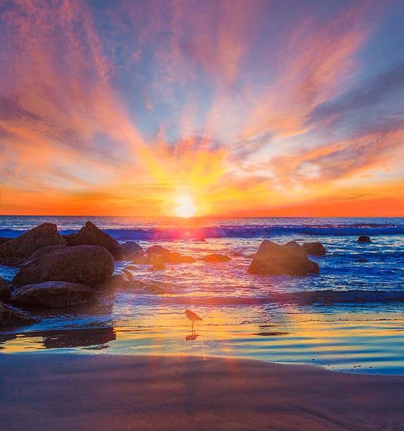 istock Southern California sunset seascape with reflections breaking surf 537643796