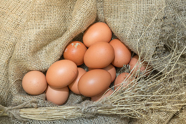 jaja owinięty w zgrzebnica - agriculture brown burlap cholesterol zdjęcia i obrazy z banku zdjęć