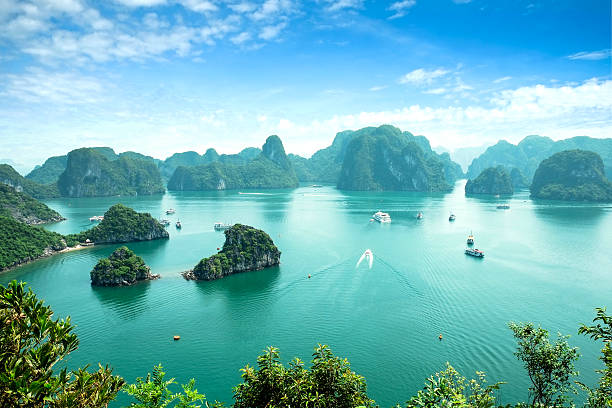 Halong Bay, Vietnam. Unesco World Heritage Site. Most popular place in Vietnam. this landscape you can seen from the island Titop bay horse stock pictures, royalty-free photos & images