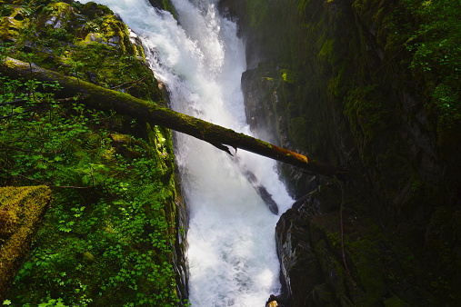 Northwest Washington's Olympic Peninsula.