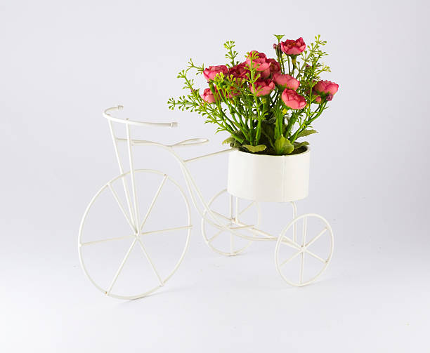 istock Flowers in a Three Wheel Toy Bicycle. 537646061