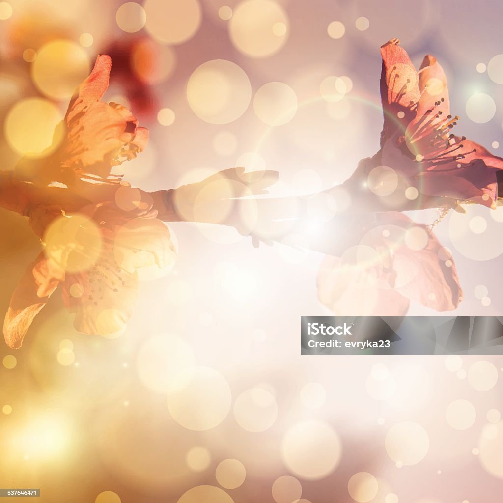 Spring Abstract Background Vector Abstract Spring Floral Background Stock Illustration - Download Image ...