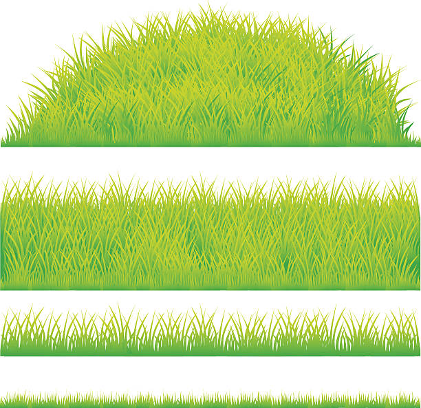 green grass design element vector art illustration