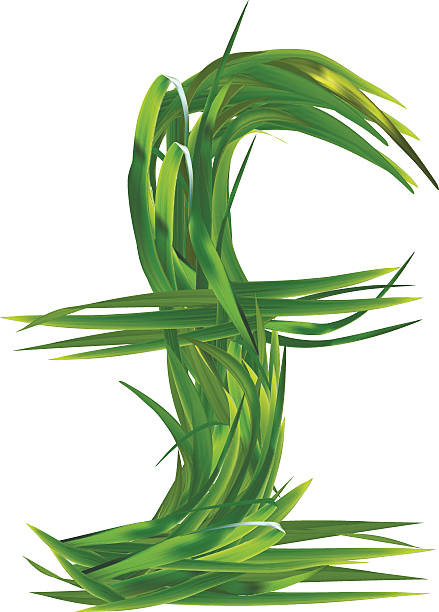 znak z trawy wielka brytania, funt - pound symbol environment grass currency stock illustrations