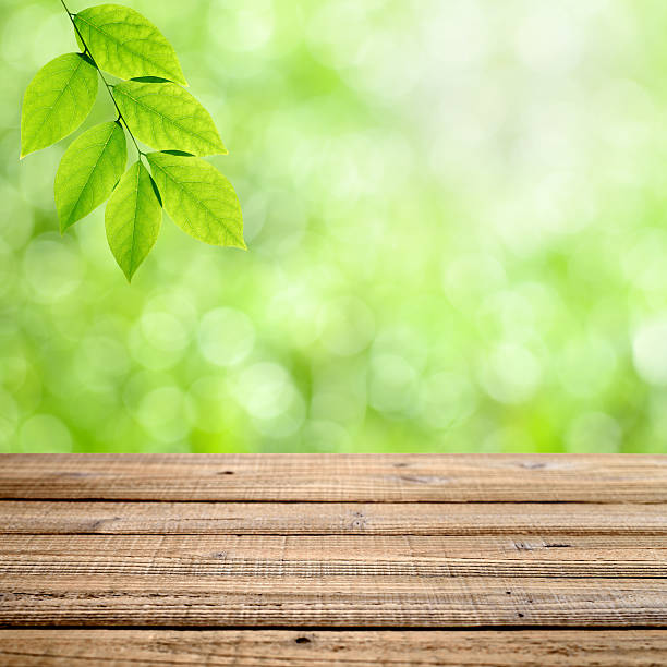 istock Old wooden table with nature background 537667455