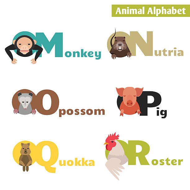 Animal alphabet Animal alphabet M N O P Q R. Letters  Vector Illustration nutria rodent animal alphabet stock illustrations