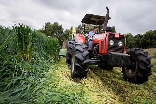 Man driving a tractor at the farm and harvesting the land - agriculture concepts