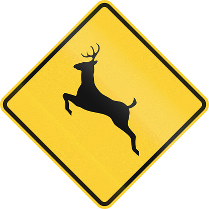 US road warning sign: Deer crossing