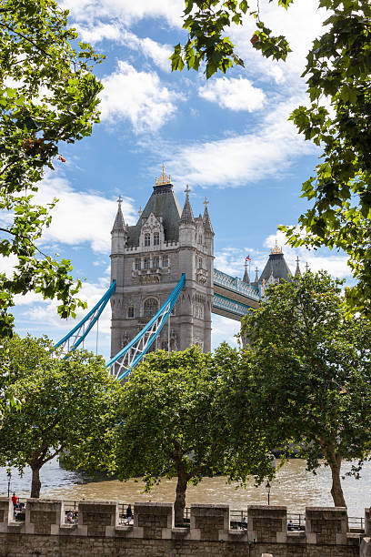 istock Tower Bridge from the Tower of London, UK 537677241