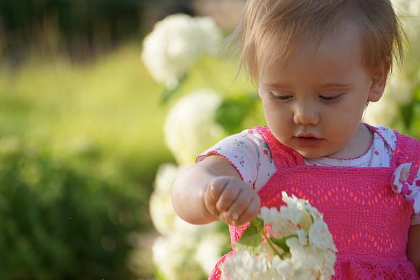 istock Baby Looking at Flowers 537686188