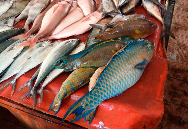 istock Counter with fish on Tomohon Traditional Market 537687008