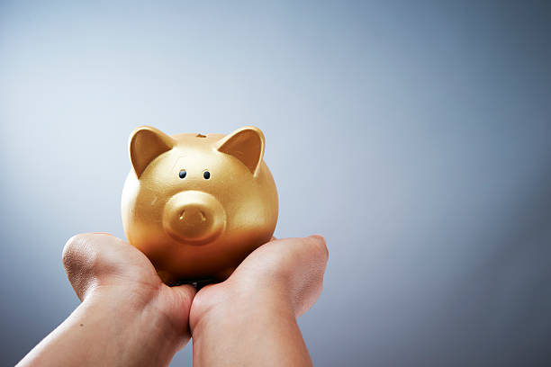 istock Piggy bank on hand 537688668