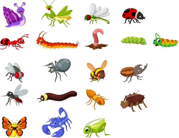 Vector illustration of collection of insects cartoon for you design