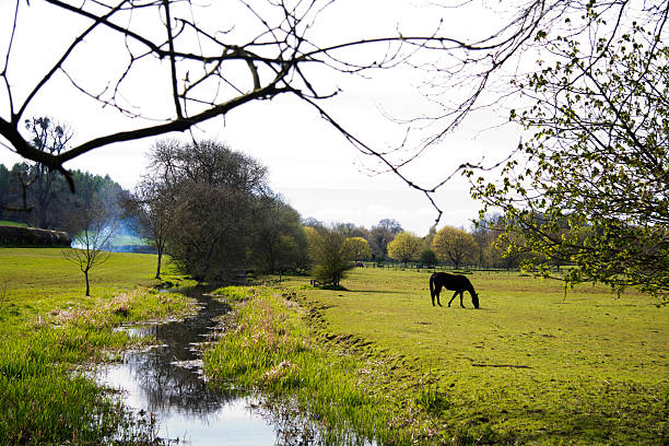 istock Stream flowing through a field in the Chilterns 537690462