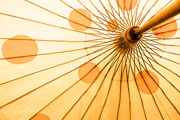 istock Under the shade of umbrella. 537691362