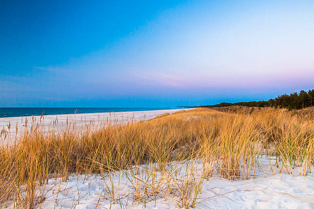 istock beautiful view of the coastal dunes 537691542