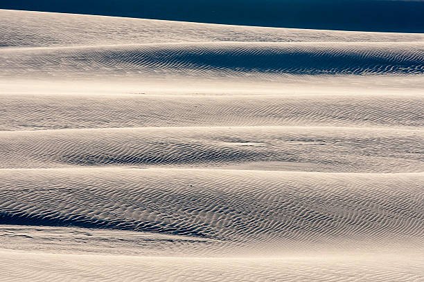 istock beautiful view of the coastal dunes 537691802