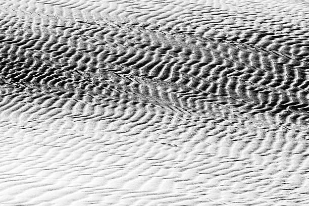 istock beautiful view of the coastal dunes 537692070