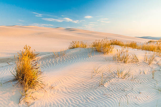 istock beautiful view of the coastal dunes 537692230