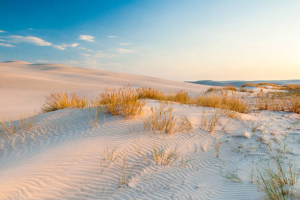 istock beautiful view of the coastal dunes 537692262