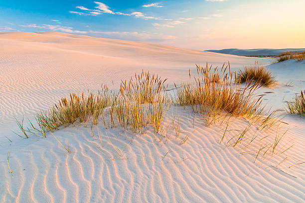 istock beautiful view of the coastal dunes 537692298