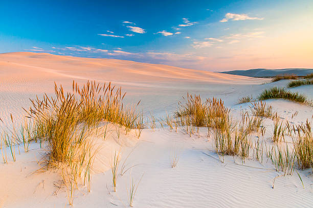 istock beautiful view of the coastal dunes 537692510