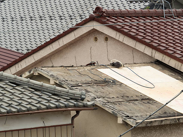 istock Renovation of the roof 537695270