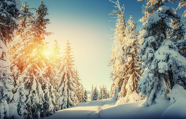istock the winter road. Carpathian, Ukraine, Europe. 537697196