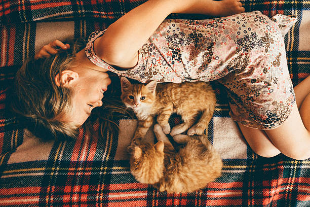 istock Little girl with kittens 537697396