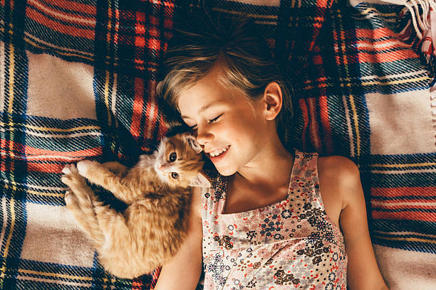 mały dziewczyna z kocięta - cute kitten animal young animal zdjęcia i obrazy z banku zdjęć