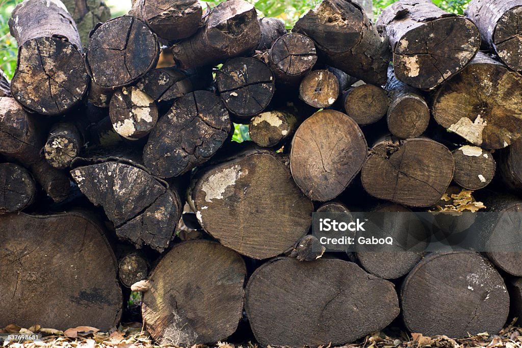firewood Wood of Trees in the Salvadoran countryside 2015 Stock Photo