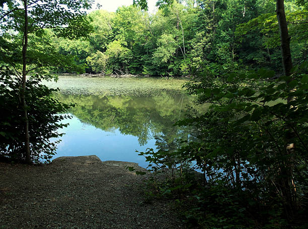 istock Afternoon at the Lake - Nature's Beautiful Scenery 537699070