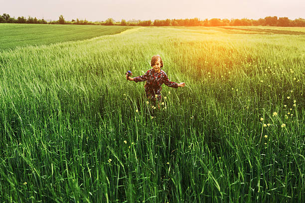 istock Little girl in the field 537699248