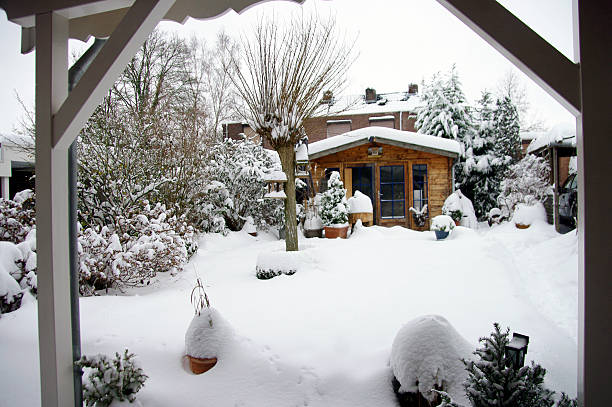 istock Winter garden in Holland 537700711