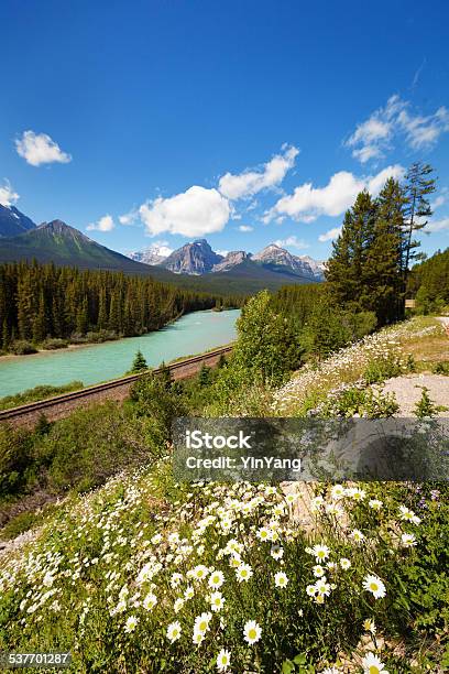 Moraine Curve Along Bow River Of Banff National Park Canada Stock Photo - Download Image Now