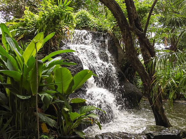 istock Waterfall with beautiful green nature,time to relax and comfort 537701768