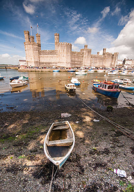 카나번 성 - caenarvon castle caernarfon castle wales 뉴스 사진 이미지