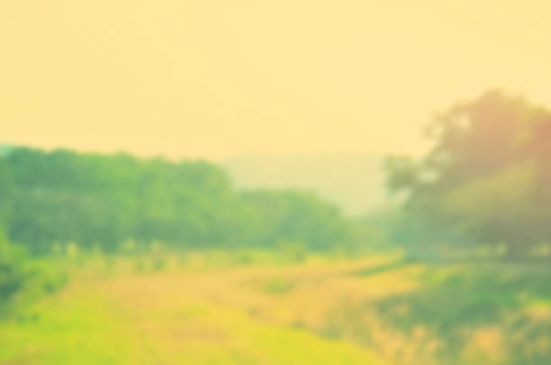 istock Blur walking road in nature park abstract background. 537702204