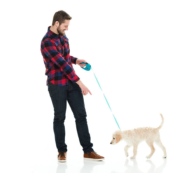 istock Smiling casual man playing with his dog 537708218