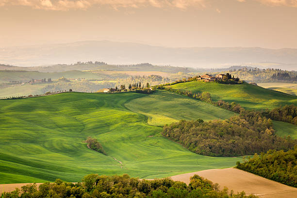 istock Beautiful morning in Tuscany 537708464