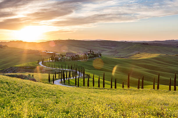 Like a snake - Tuscan countryside Farmhouse, cypresses and road near Asciano, Tuscany, Italy crete senesi stock pictures, royalty-free photos & images
