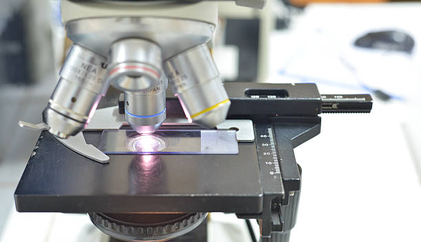 istock Close up of microscope at the laboratory 537711914
