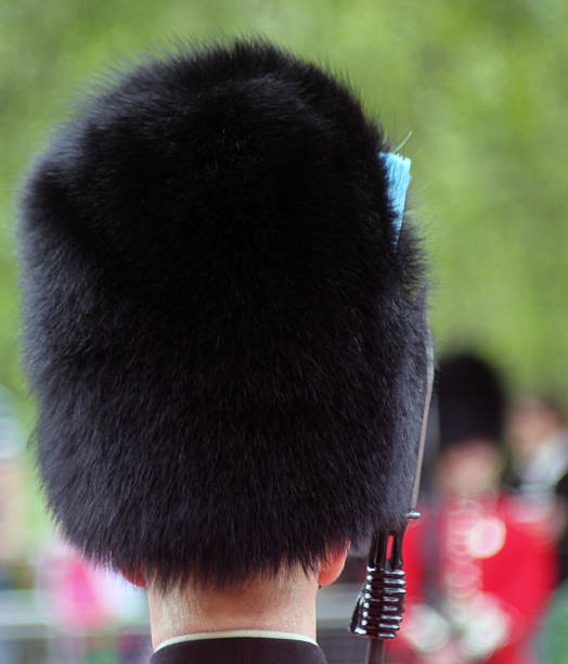 trooping the colour - household cavalry photos et images de collection